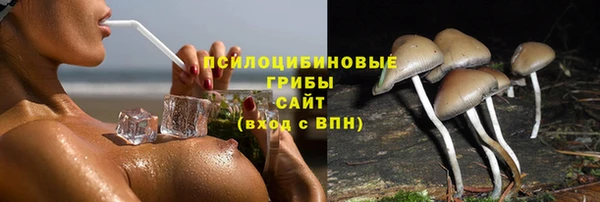 PSILOCYBIN Абинск