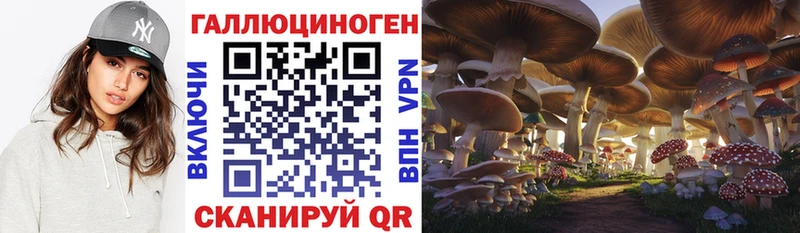 Псилоцибиновые грибы Magic Shrooms Спас-Клепики